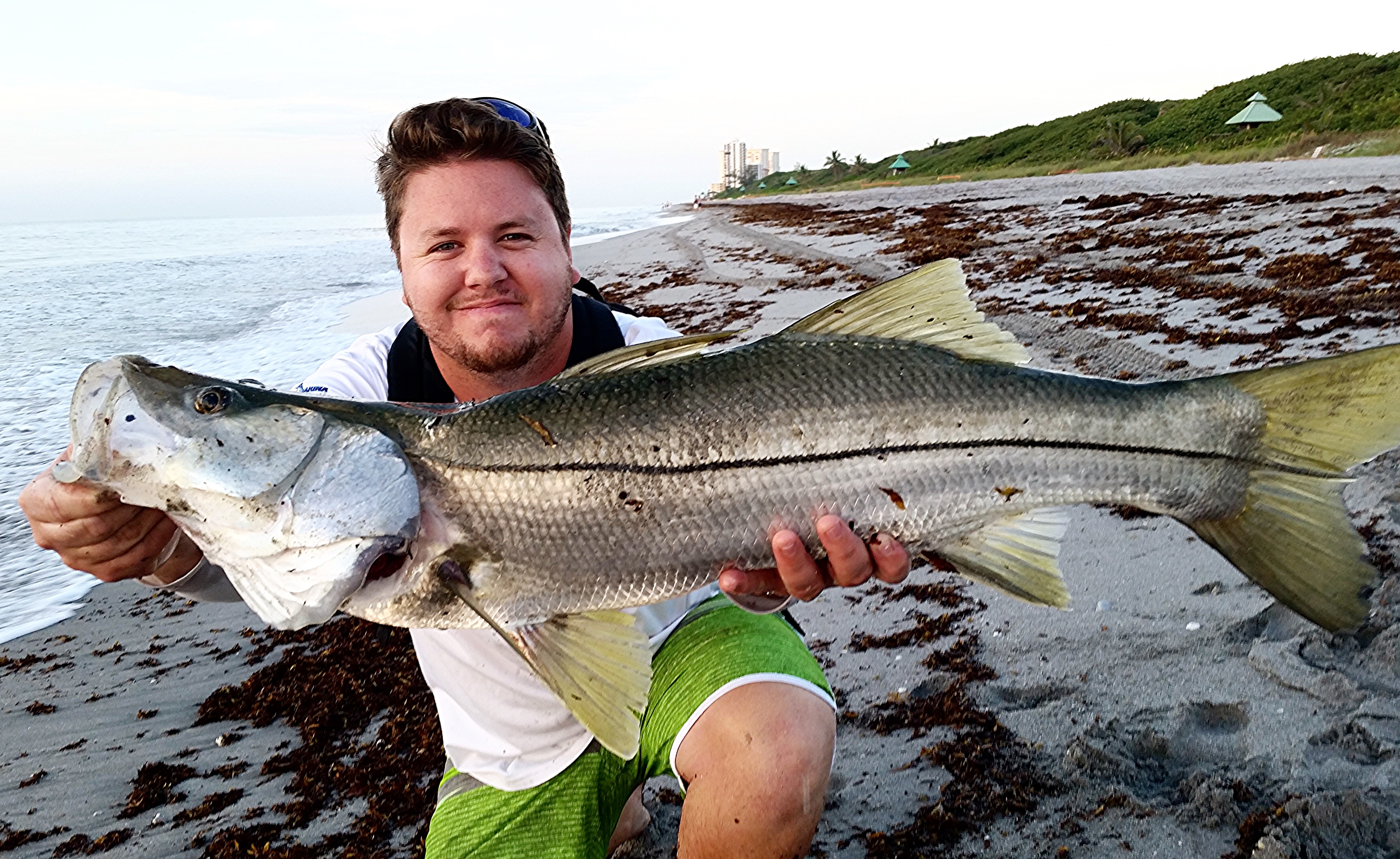 Beach Snook